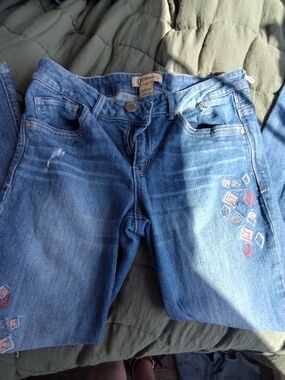 Democracy Straight-Leg Embroidered Blue Jeans